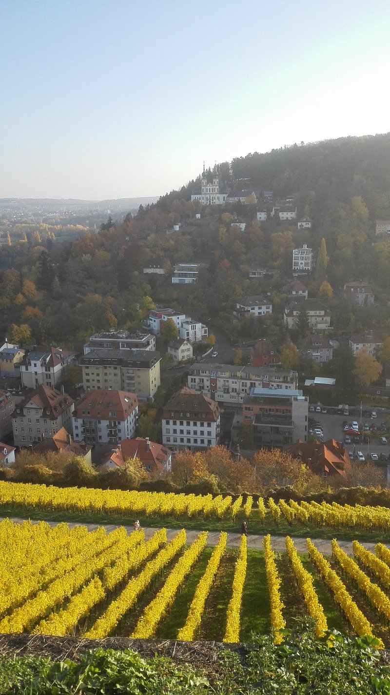 Foto: dena Weinberge in Würzburg